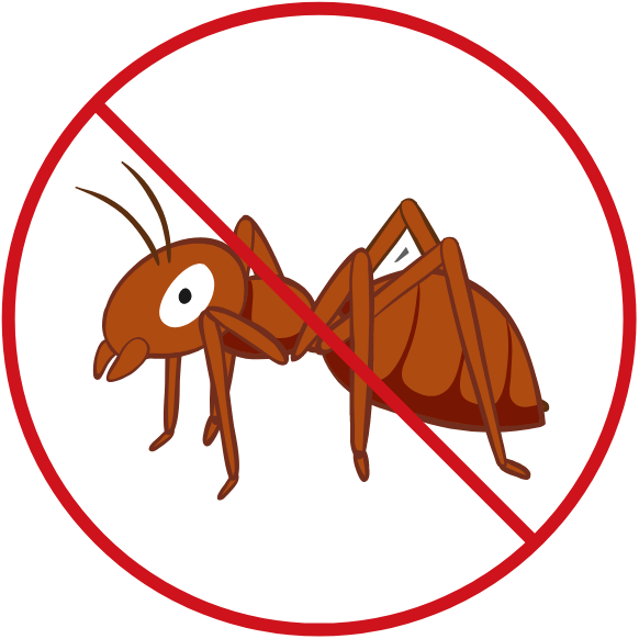 No Ant Illustration