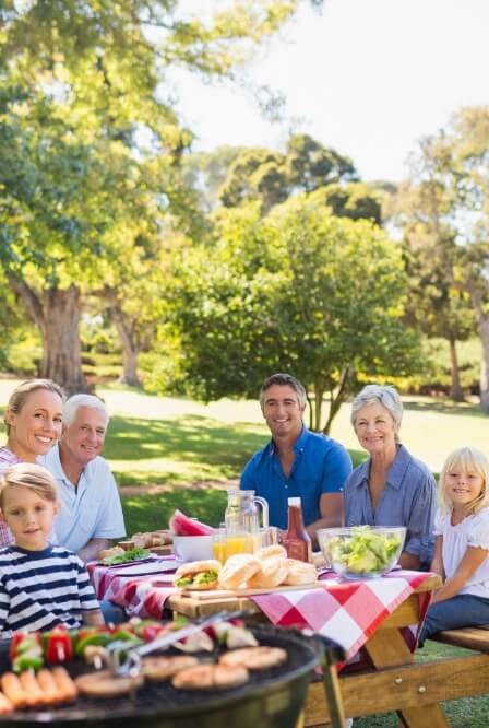 Family Outdoor Picnic