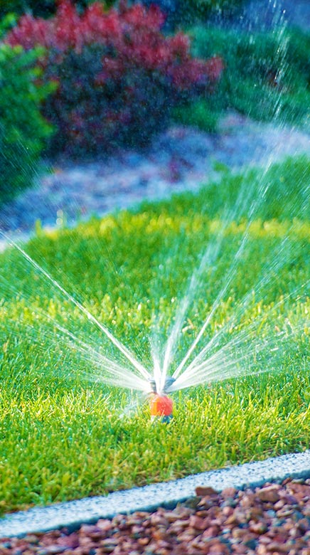 Backyard Garden Sprinkler