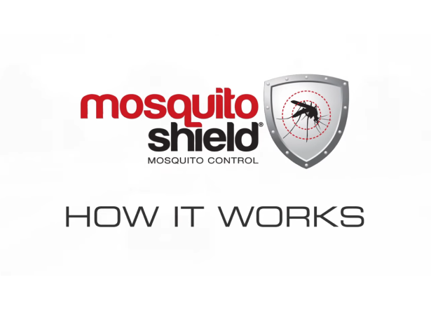 Moshield How It Works
