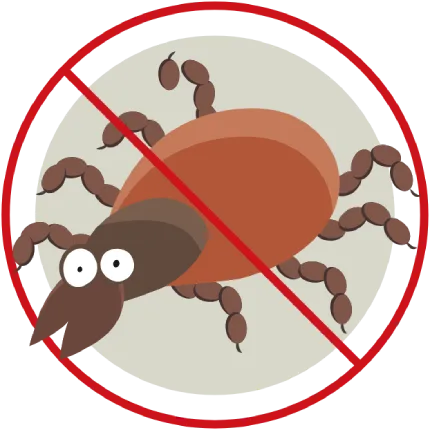 No Ticks Allowed