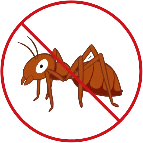 No Ant Illustration