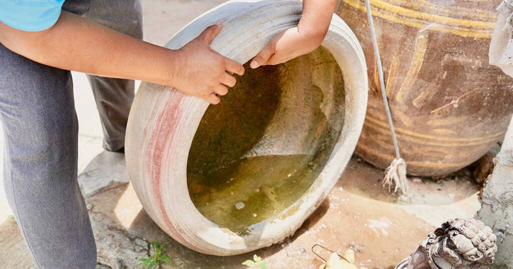 remove standing water helps prevent mosquito growth and disease