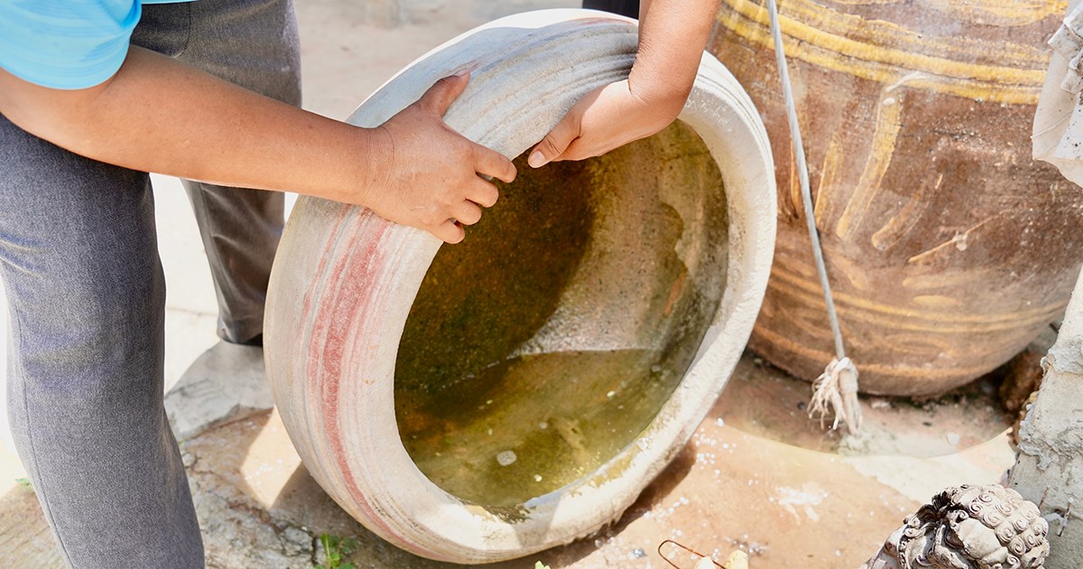 Remove standing water in pots, old tires, buckets, and other containers in and around your home where mosquitoes can lay eggs.