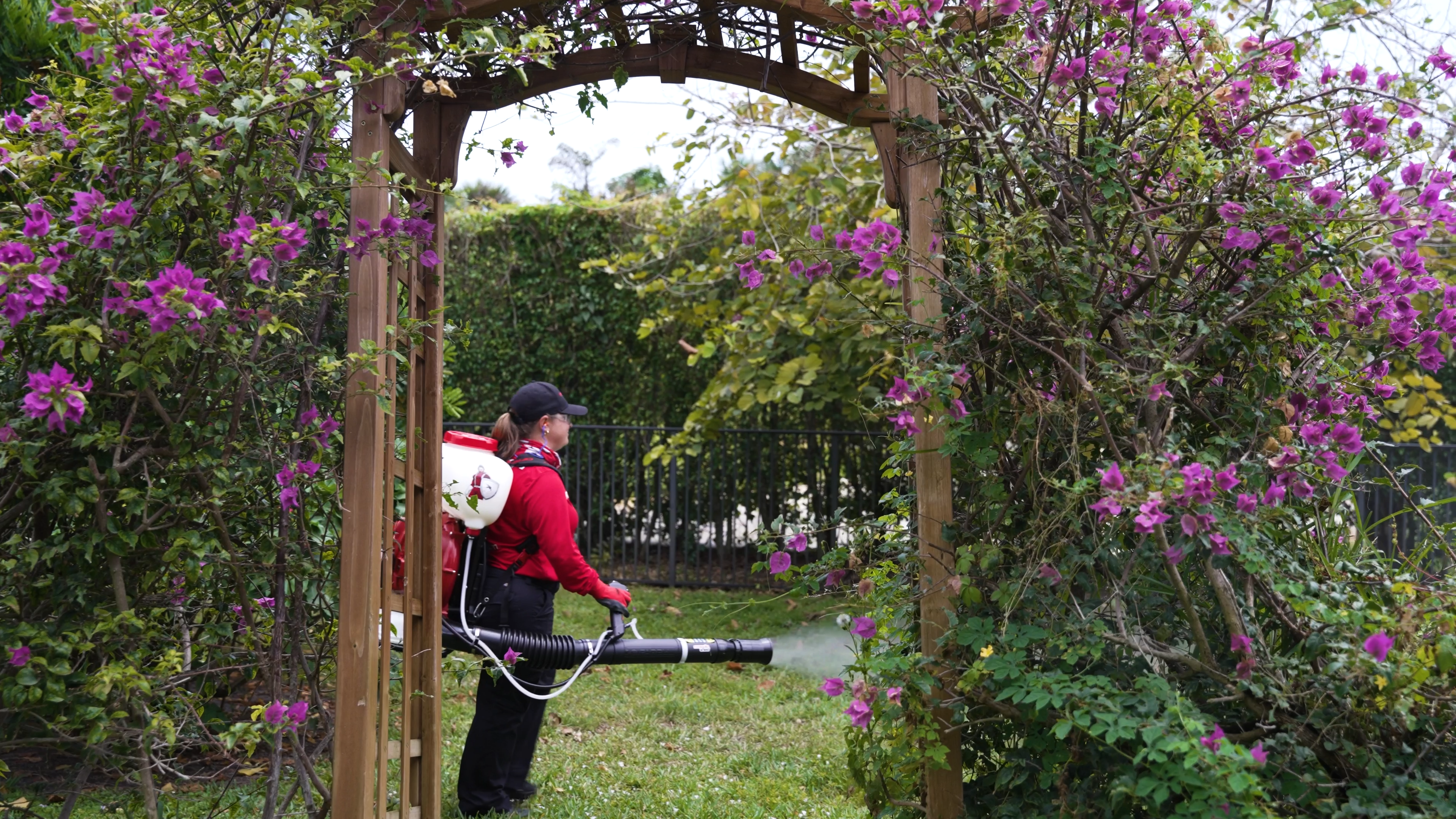 female tech spraying a garden in fort worth