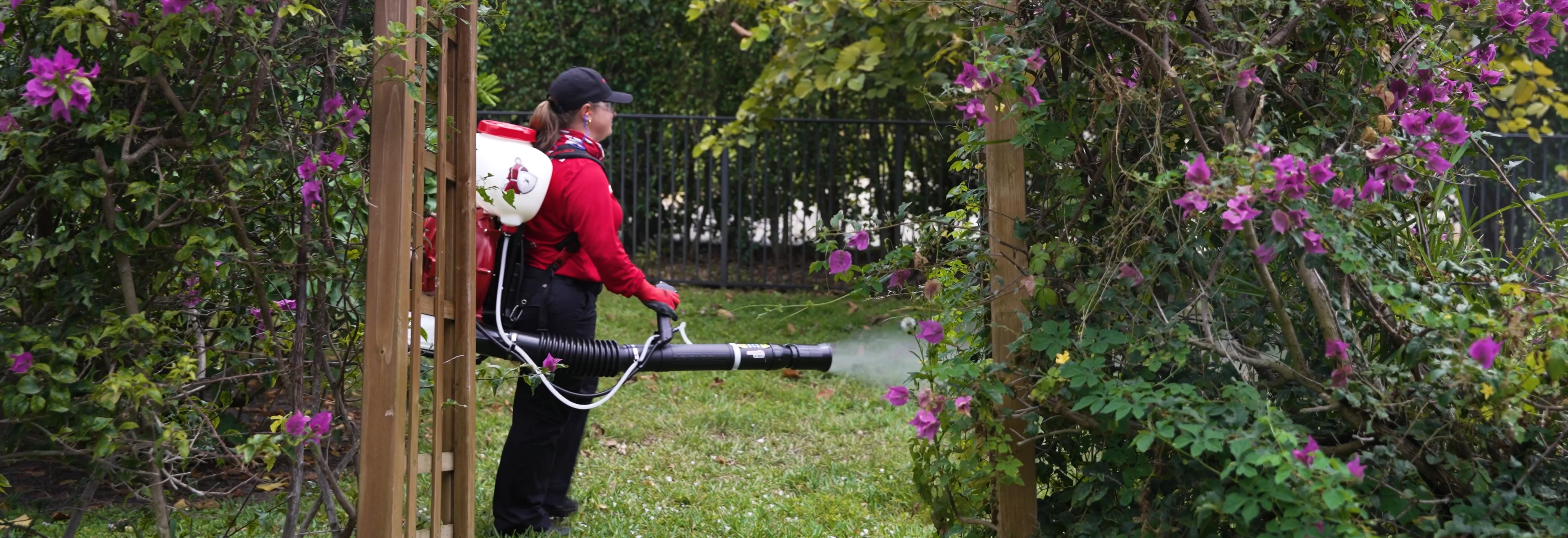 women spraying garden in Knoxville