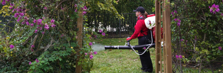 women tech spraying a garden