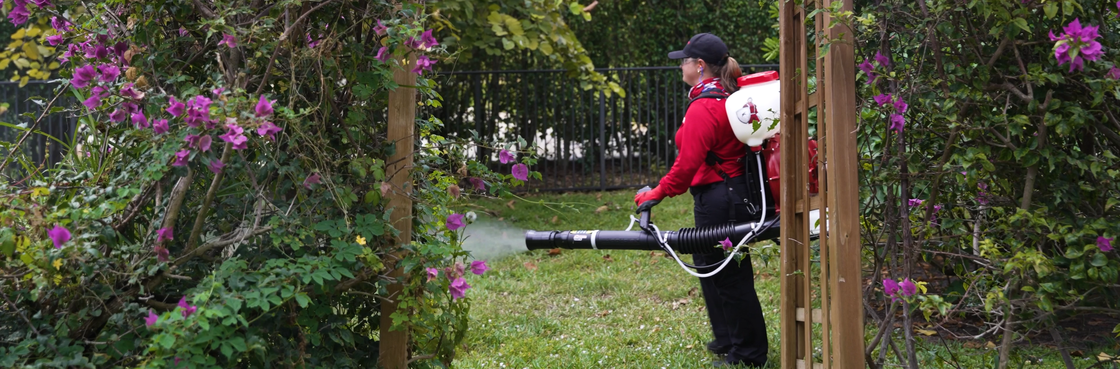 women tech spraying a garden