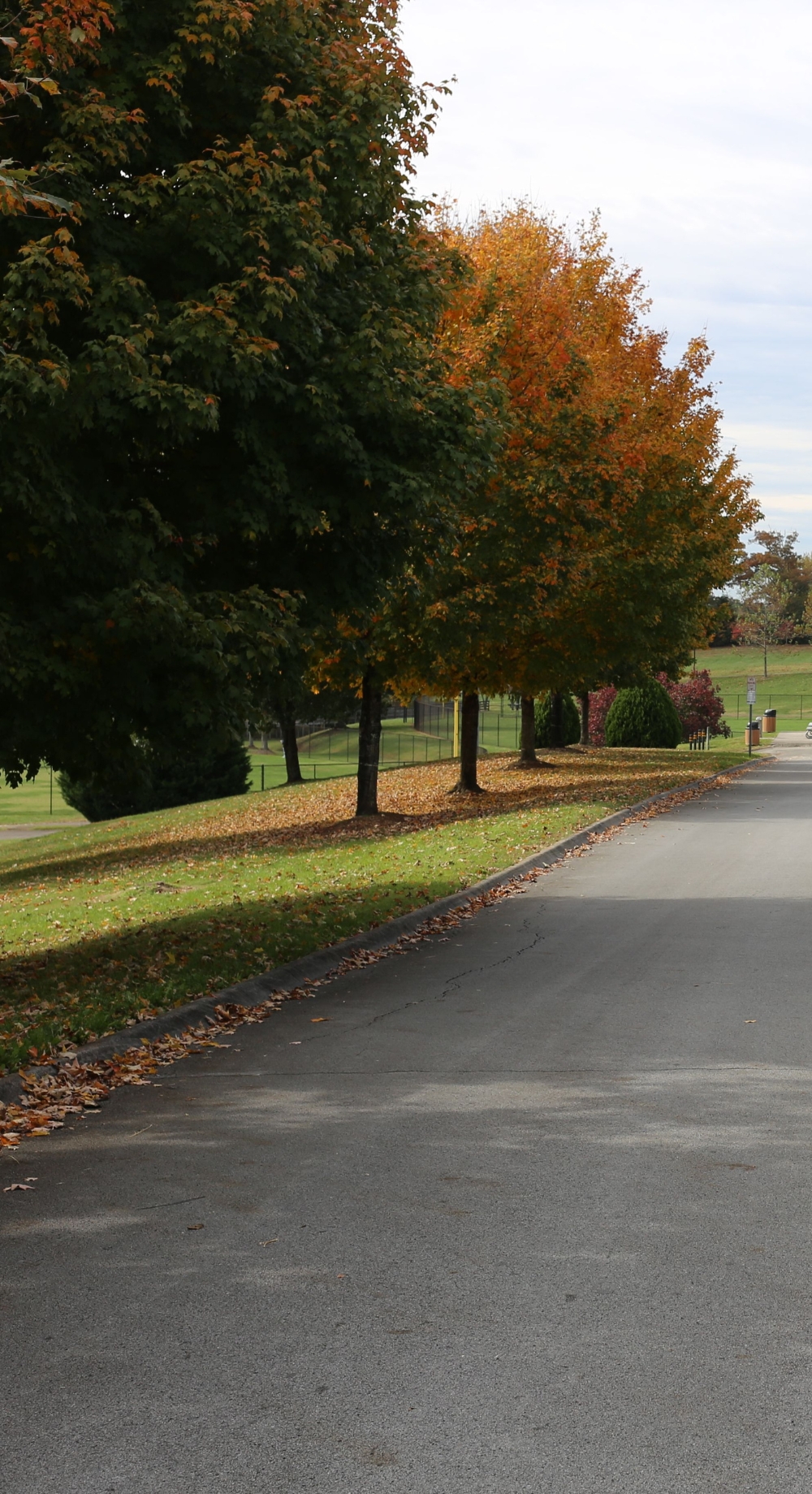 Farrgut TN park image