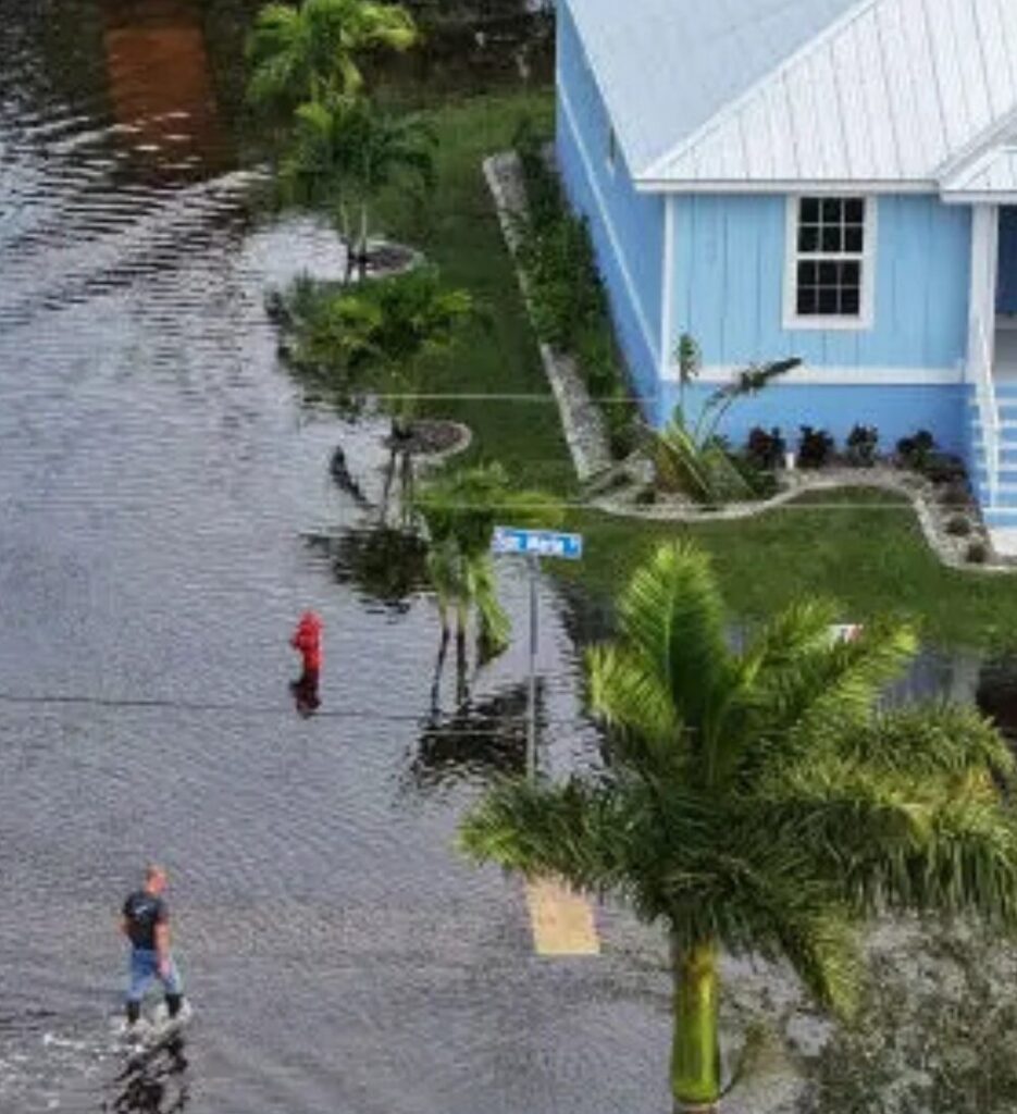 Florida Standing Water Photo