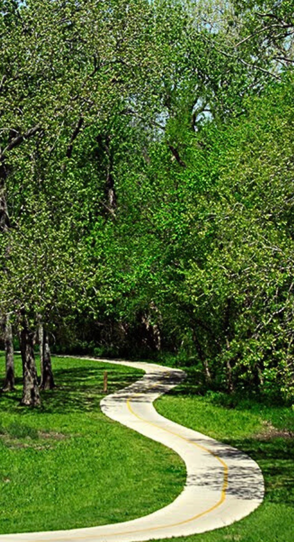 North Dallas trail photo