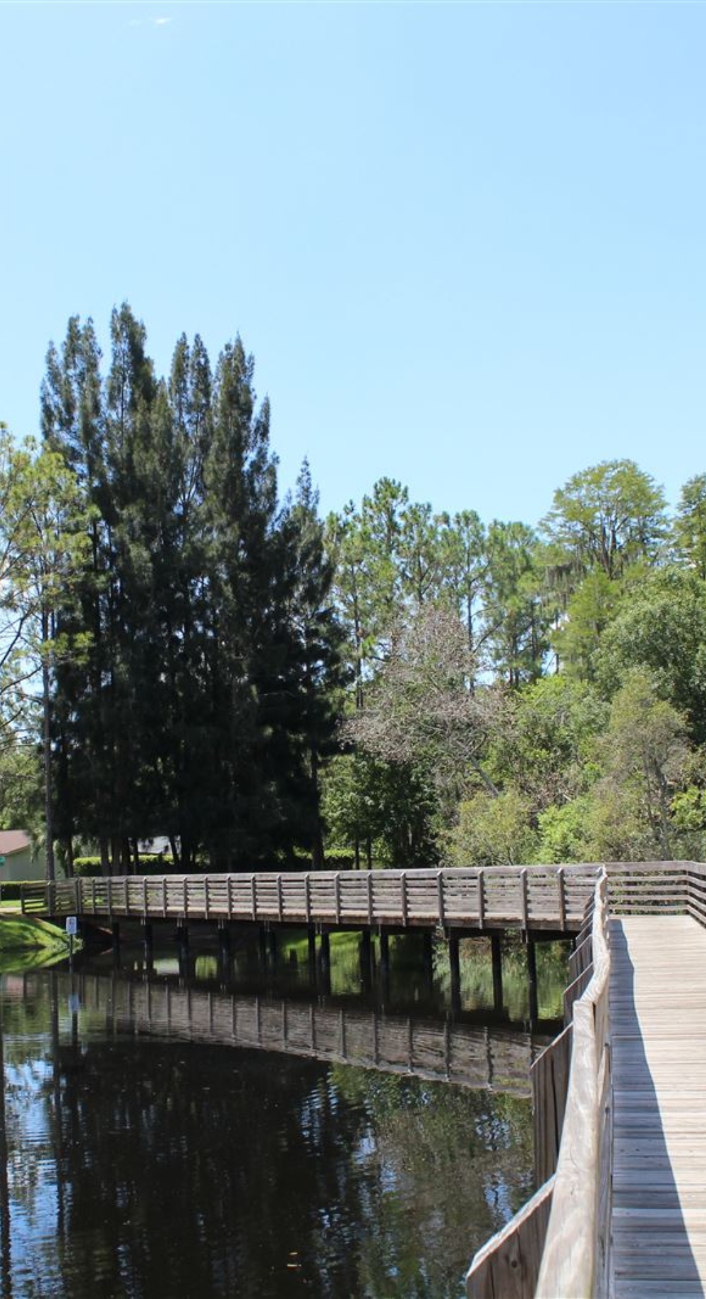 Northdale FL park image