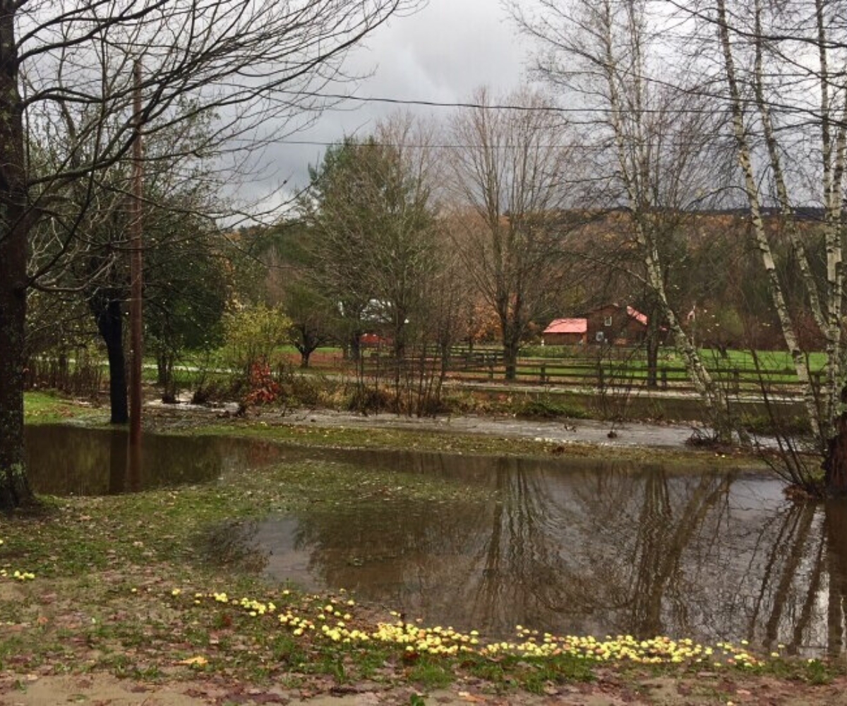 Standing Water Northeast USA