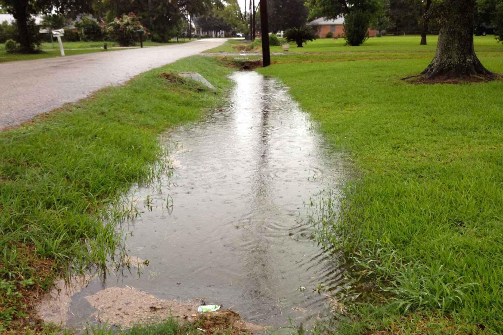 Standing water in a clogged trench