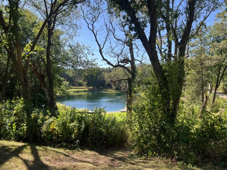 wind protected water harbors mosquitos