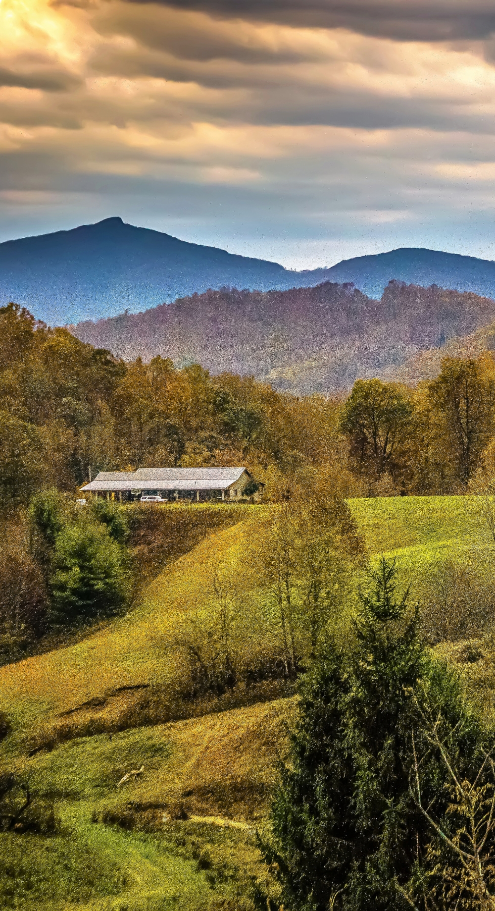 North Carolina lifestyle photo