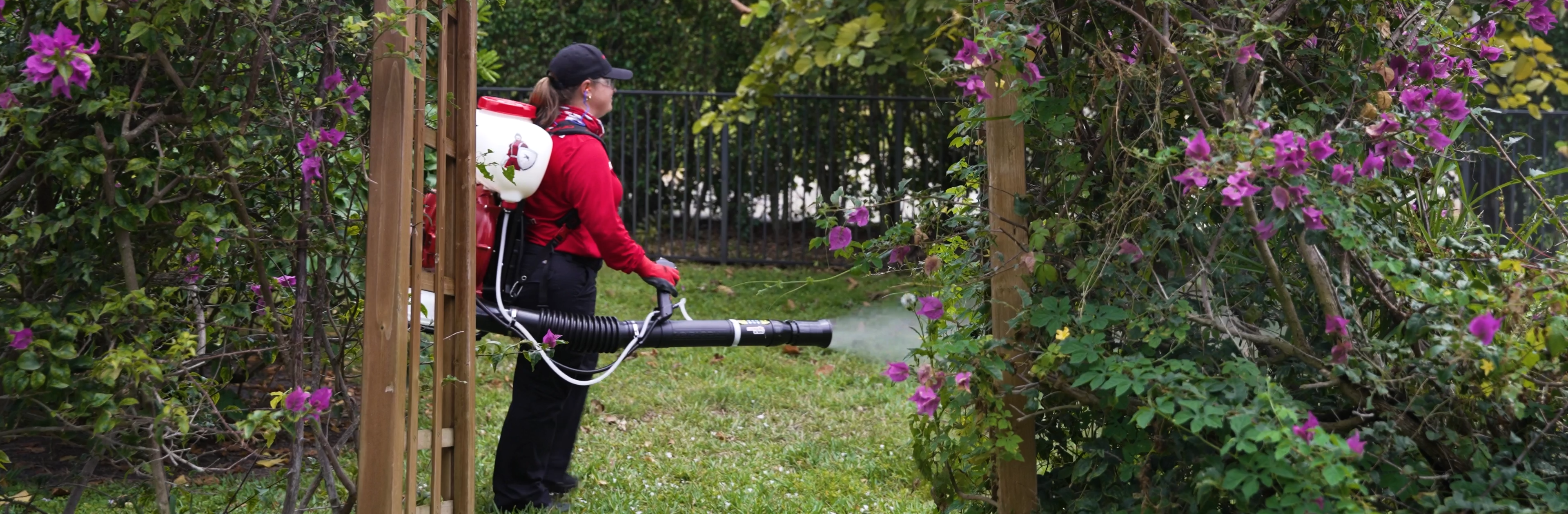 mosquito control for events and weddings
