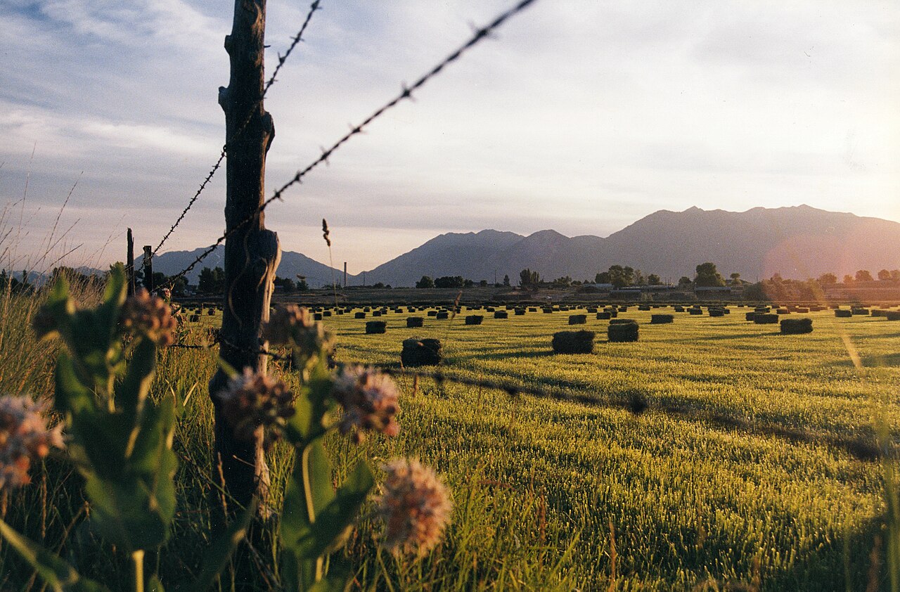 farm