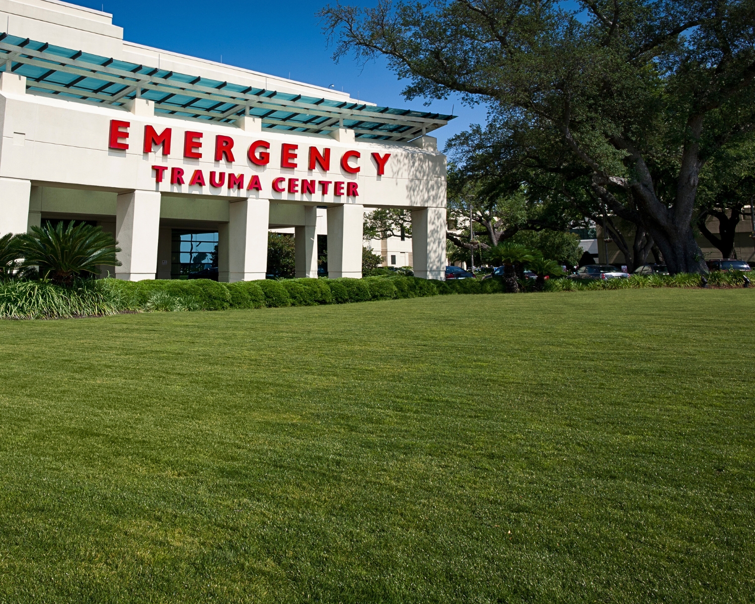 Healthcare Mosquito Control