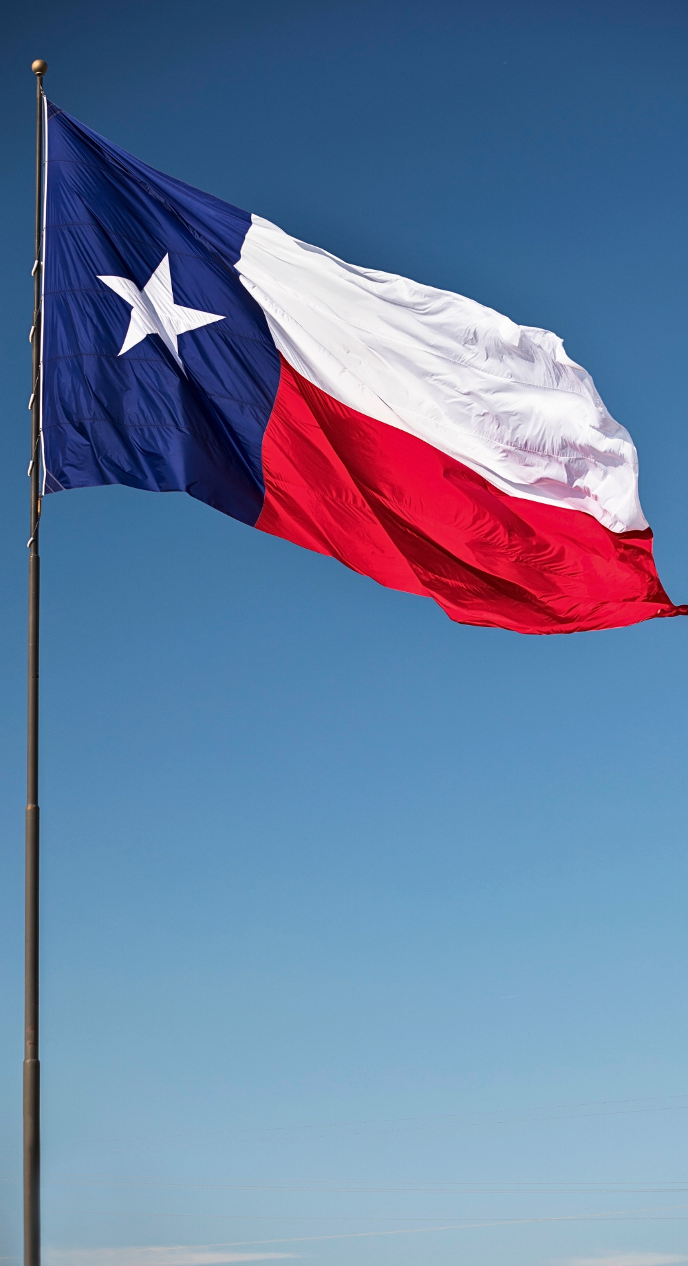 Texas state flag