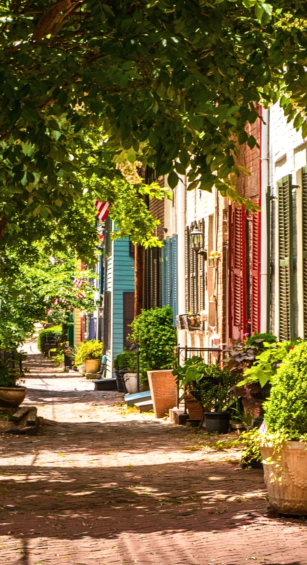 Alexandria VA lifestyle photo