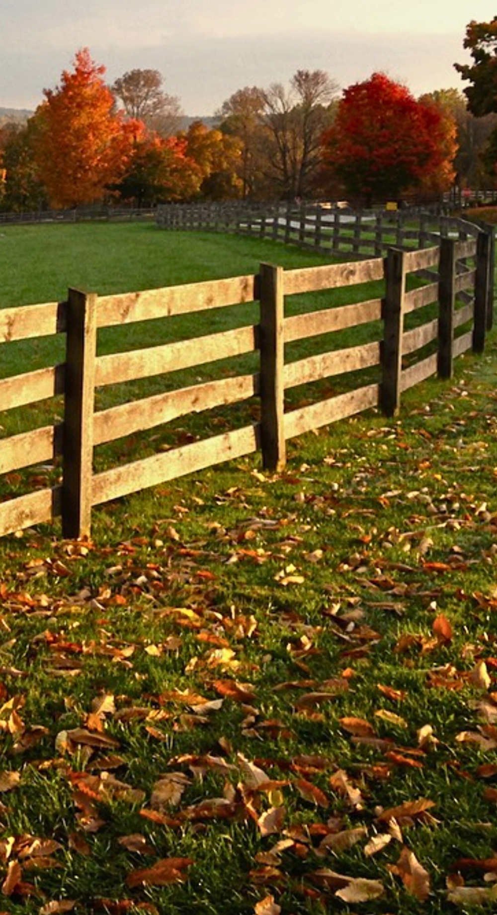 Chester County During Fall mobile version