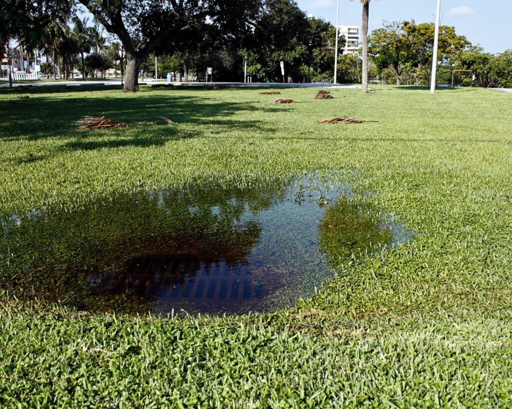 Clogged storm drain