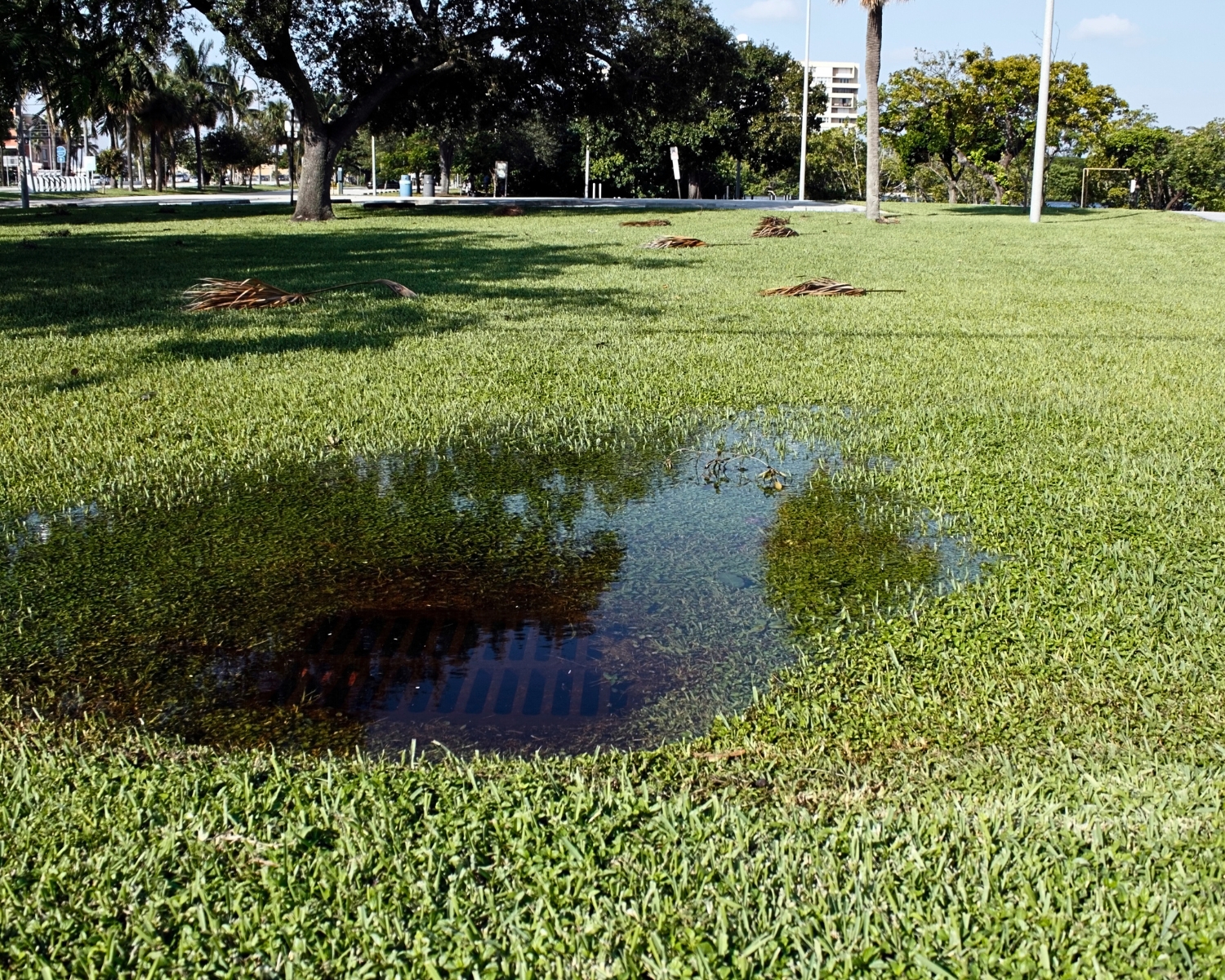 Clogged storm drain
