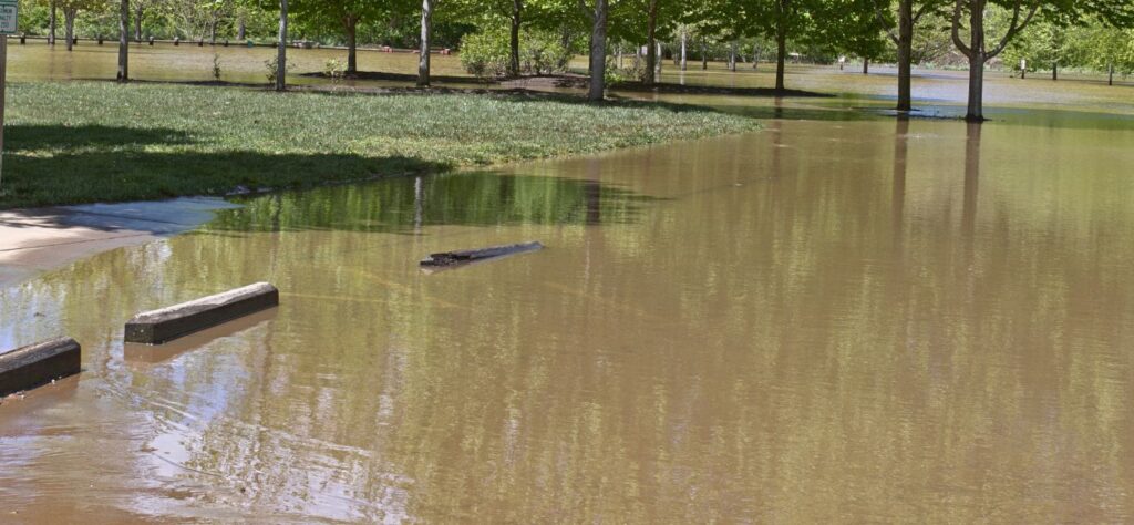 Flooded park