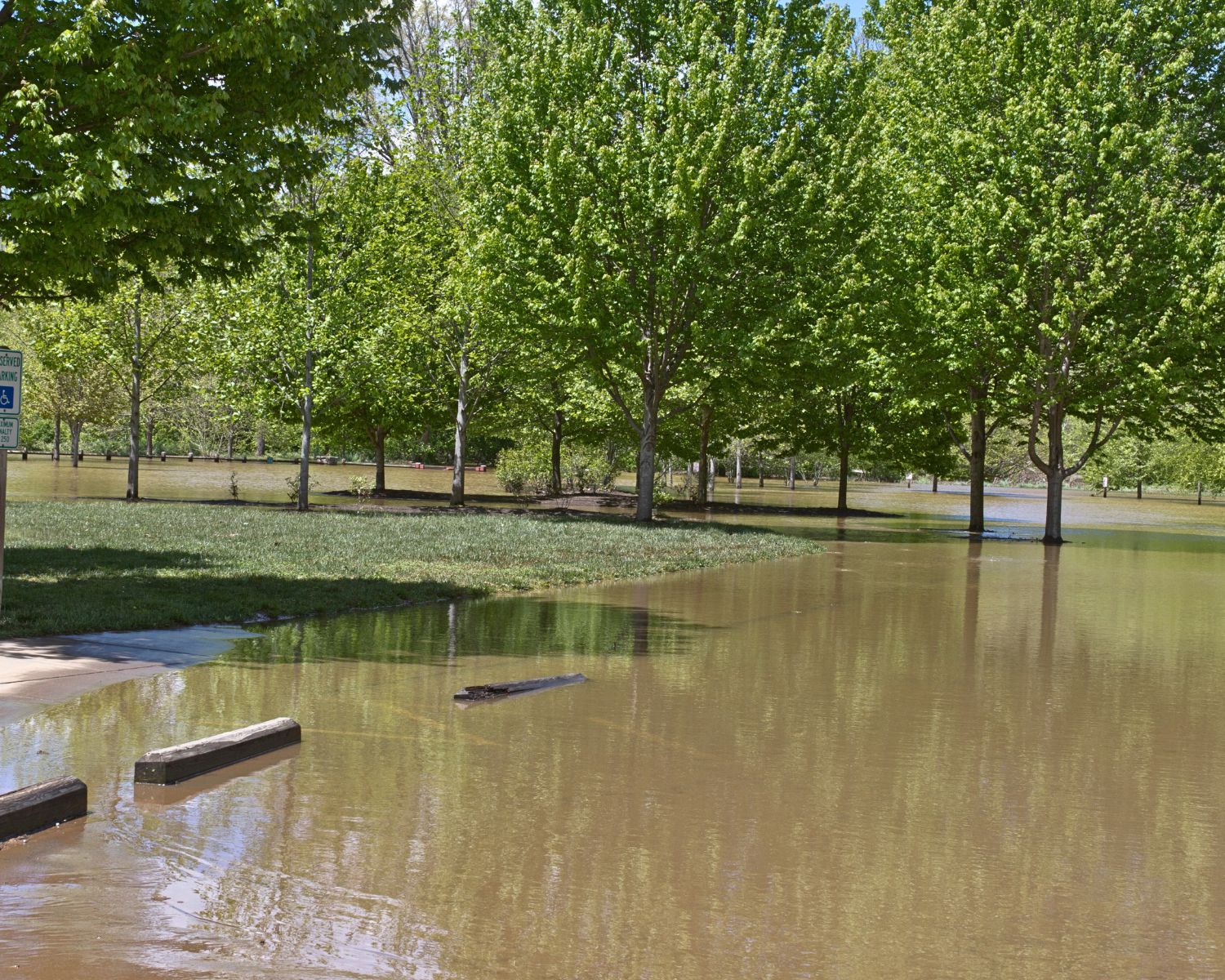 Flooded park