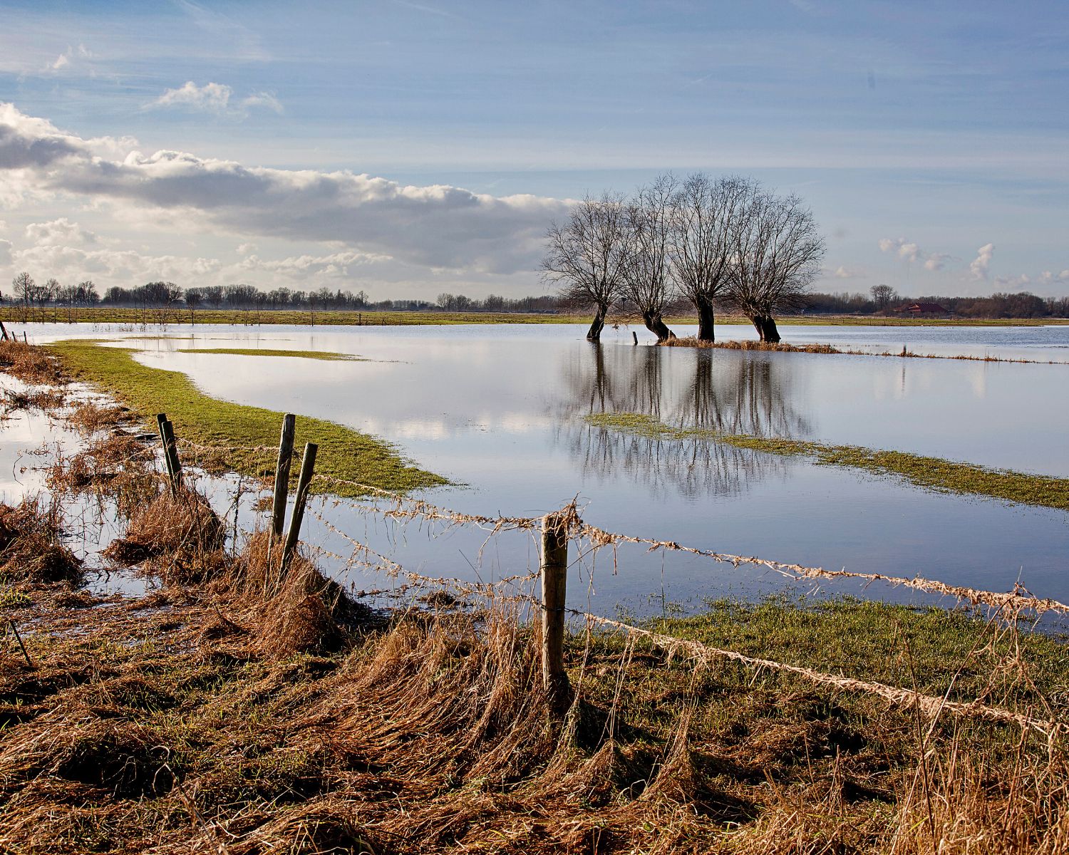 Flooded park
