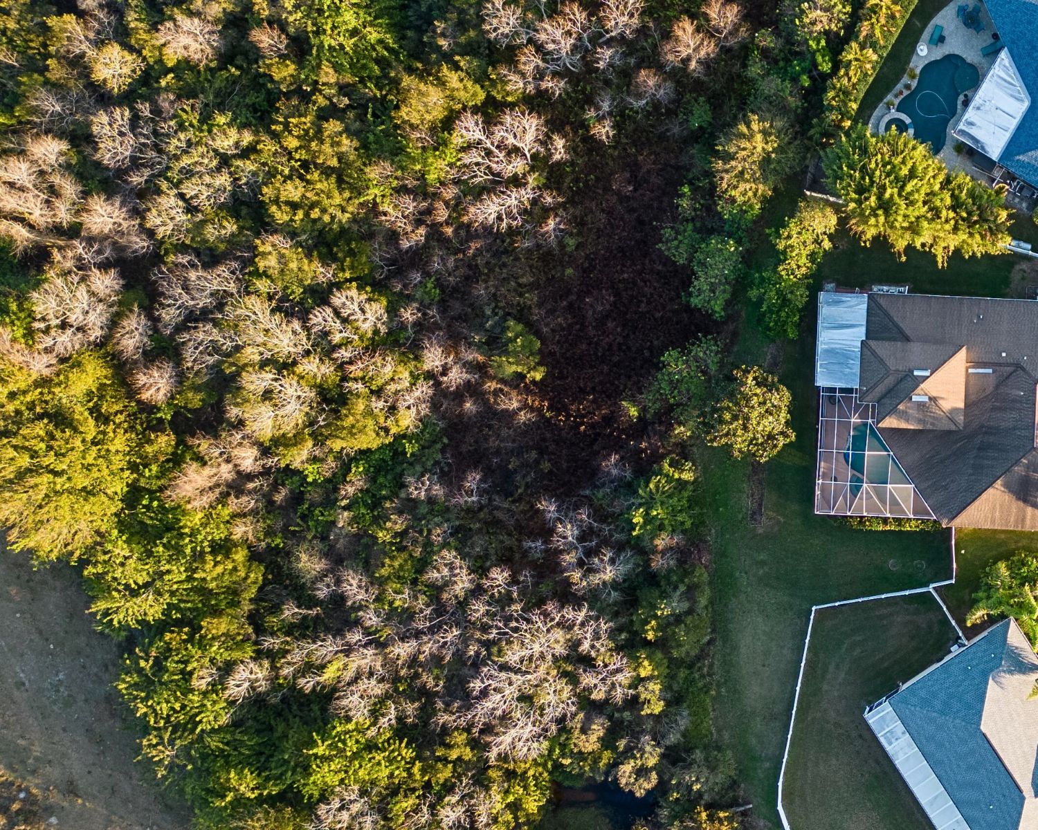 Florida During Fall