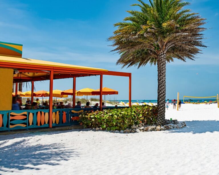 Florida During Summer