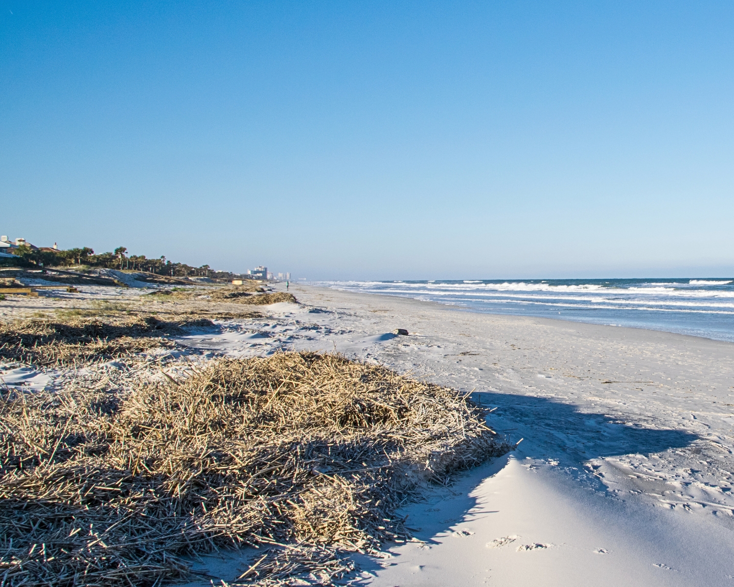 Florida During Winter