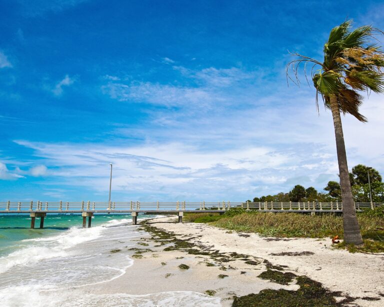Shoreline breeding grounds