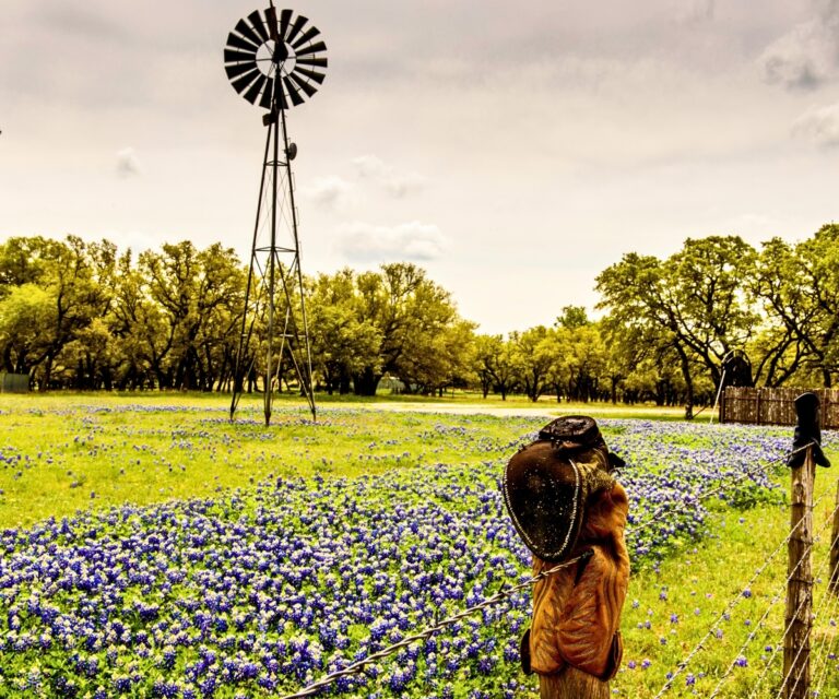 Texas Spring