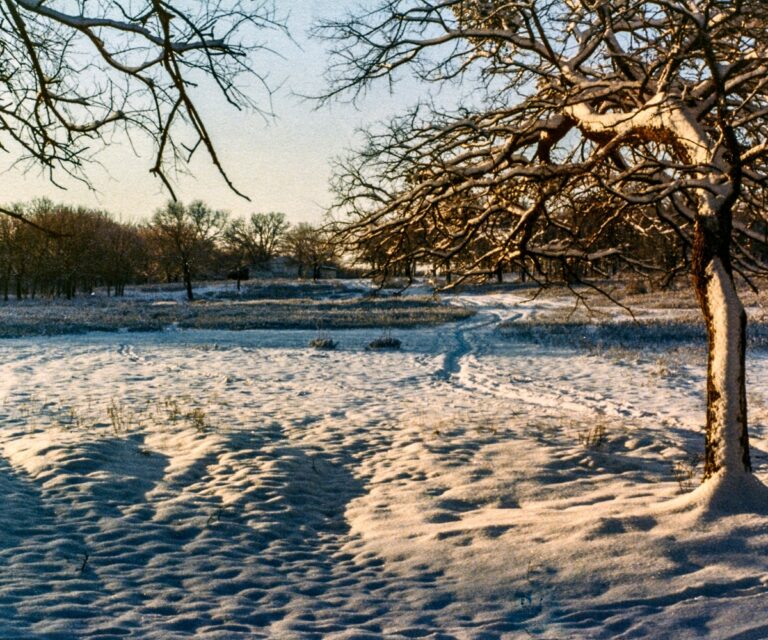 Southern Winter