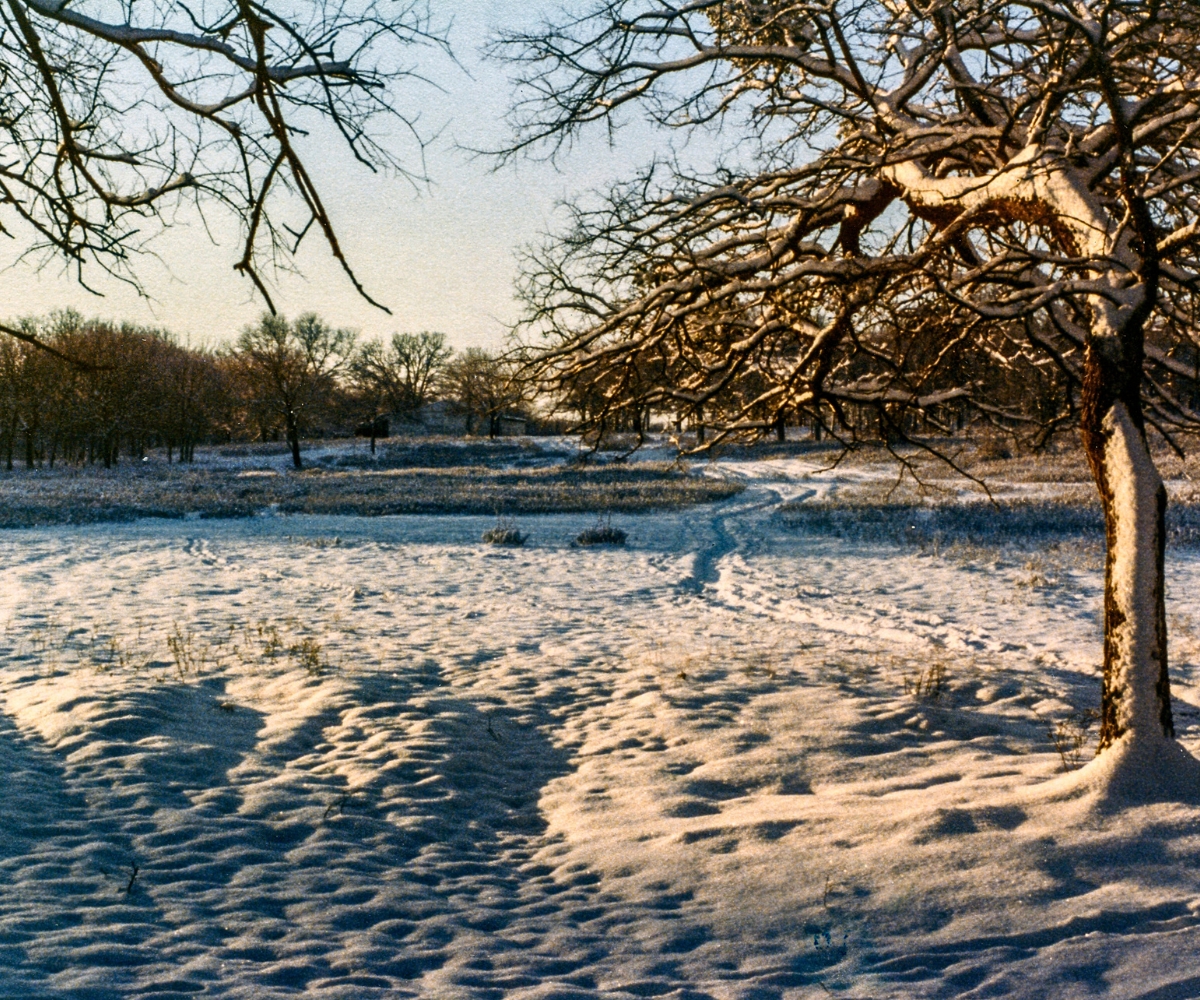 Southern Winter