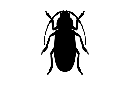 cockroach control service