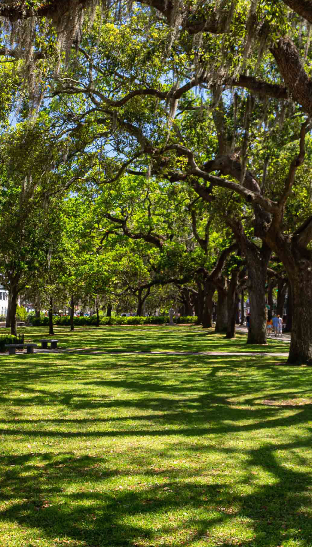 Savannah GA, Mosquito Control Services