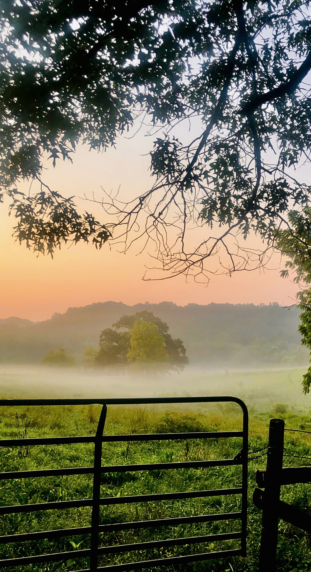 Alabama Countryside