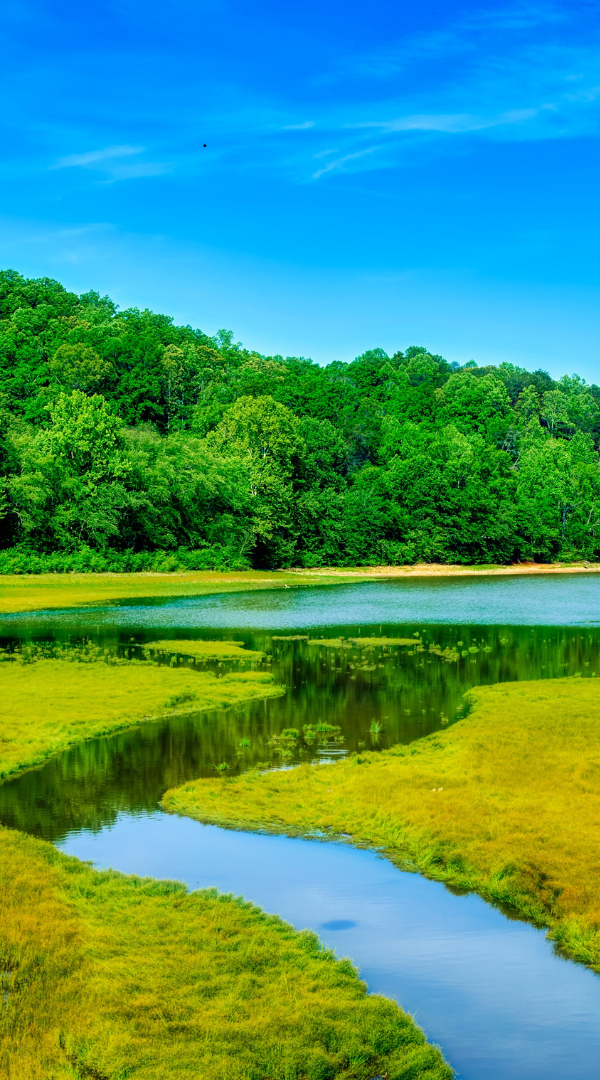 Mosquito Control Services in Emerson, GA.