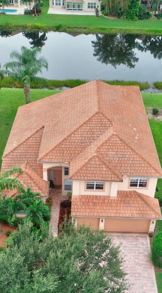 Mosquito control services in New Port Richey, Florida