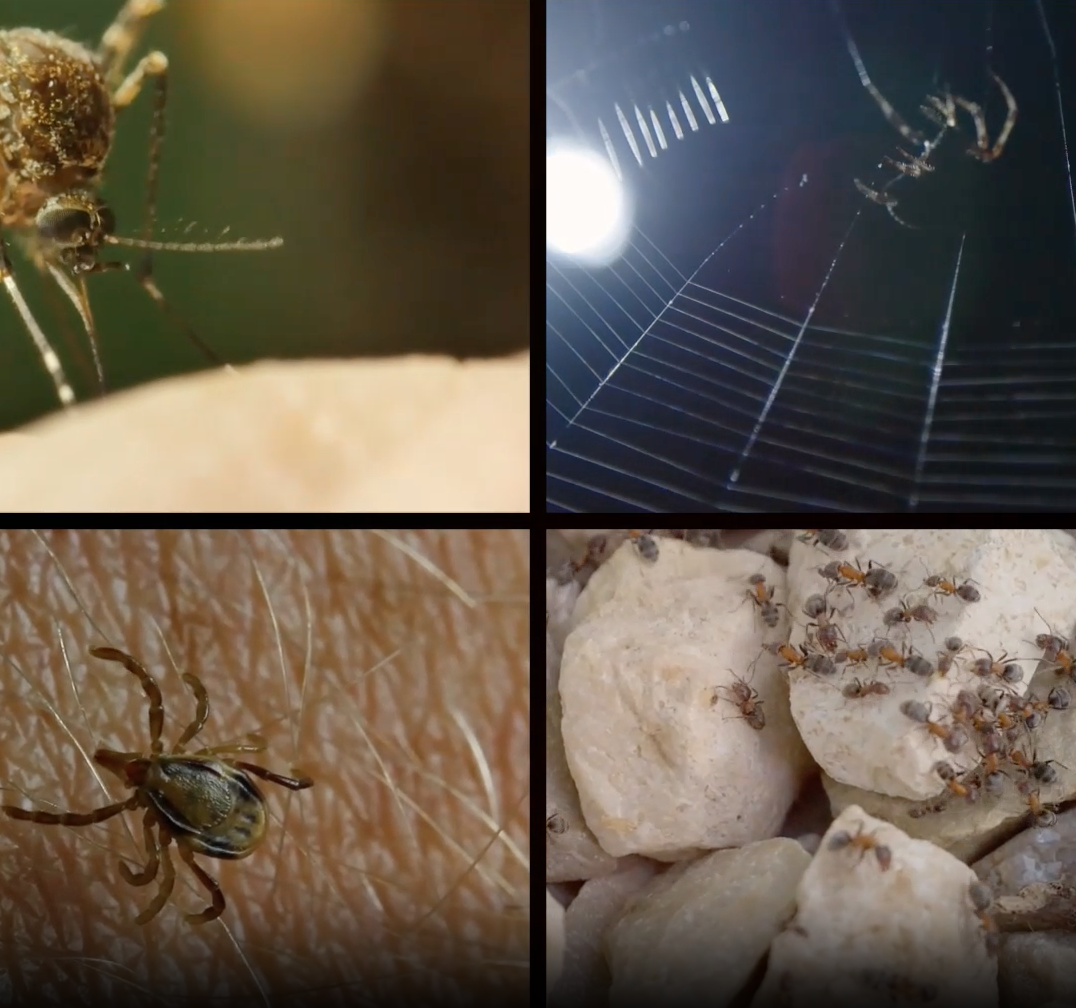 Moshield How It Works