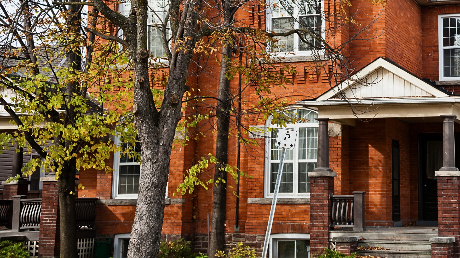Swedesboro NJ Hero image Mosquito Shield Southern NJ