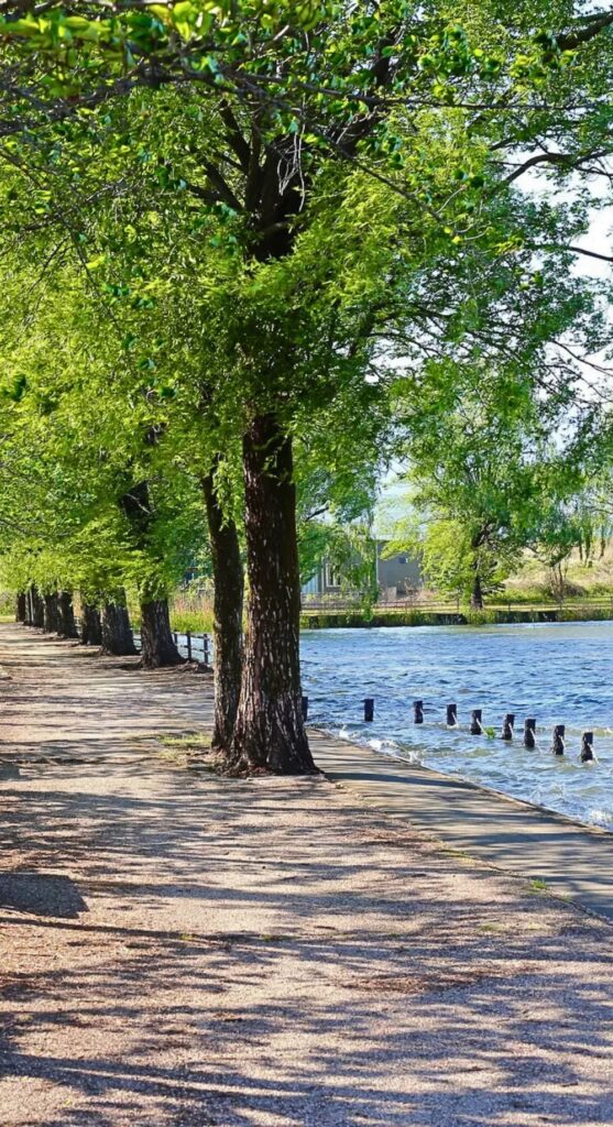TX riverwalk