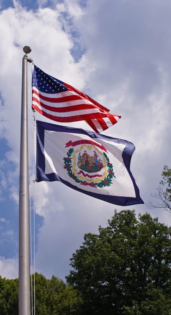 VA state flag