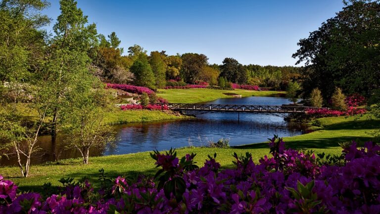 Valhermoso Springs AL hero image Mosquito Shield Huntsville