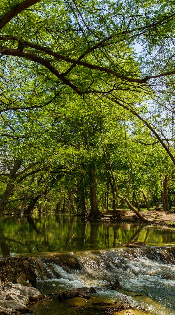 Mosquito Control Services in Alamo Heights, TX.