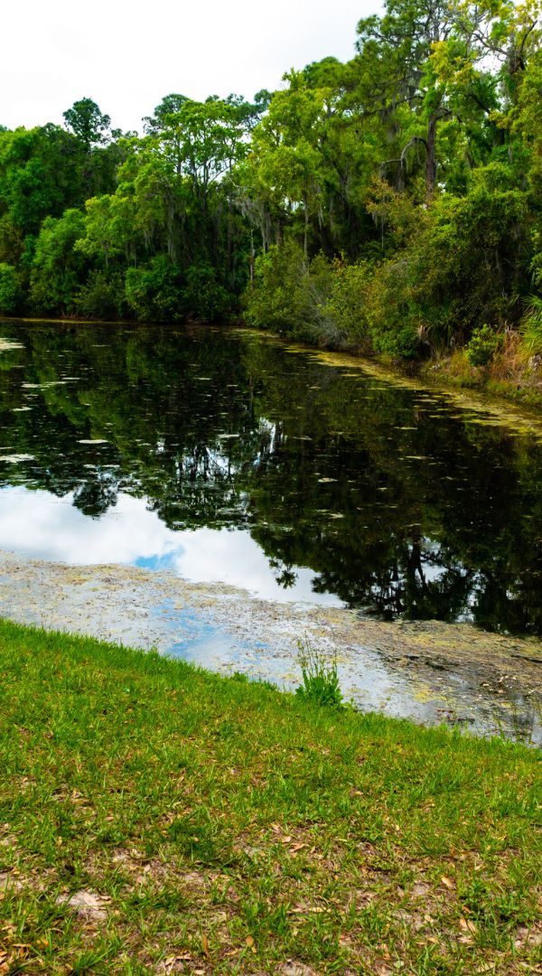 Mosquito Control Services in Auburndale, FL.